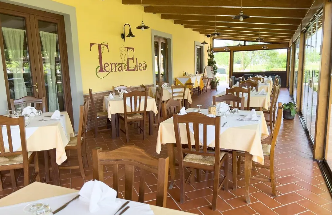 Agriturismo Terra Di Elea-1